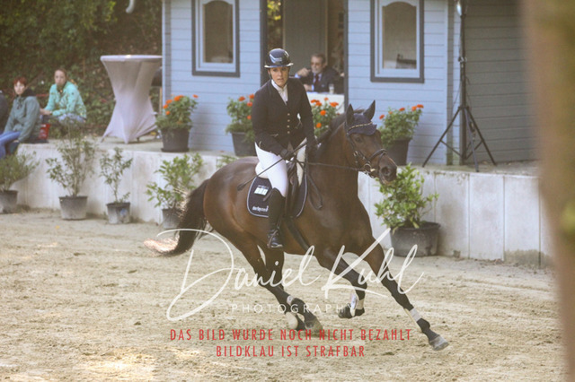 DKP42711 | Turniersportfotografie; Pferdefotografie; Dressurfotografie