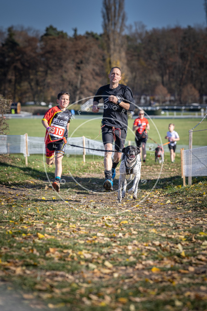 CaniXpix_DV3A7936 | Hundefotografie, Tierfotograf, Pfotenfotografie, Fotoshooting Hund, Hunde Portrait, Hundesport, Hundeportraits, Heideshooting, Hunde, Sportfotograf, Hundefotograf, Turnierhundsport, THS,  - Realisiert mit Pictrs.com