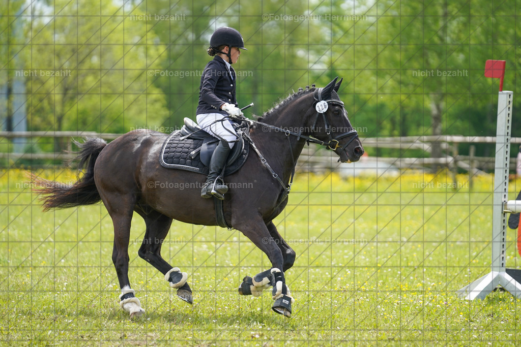 20230521-FAH06316 | Frühjahrsturnier, Landsberg am Lech, 2023, Reitclub Landsberg, Turnierbilder, Fotos Turnier Landsberg, Fotoagentur Herrmann, Turnierfotografen Bayern, Reitsport Fotograf, Pferde Fotograf