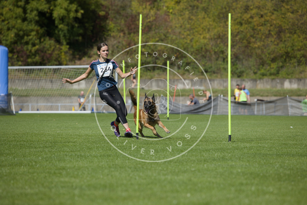 0L8A6091 | Hundefotografie, Tierfotograf, Pfotenfotografie, Fotoshooting Hund, Hunde Portrait, Hundesport, Hundeportraits, Heideshooting, Hunde, Sportfotograf, Hundefotograf, Turnierhundsport, THS,  - Realisiert mit Pictrs.com