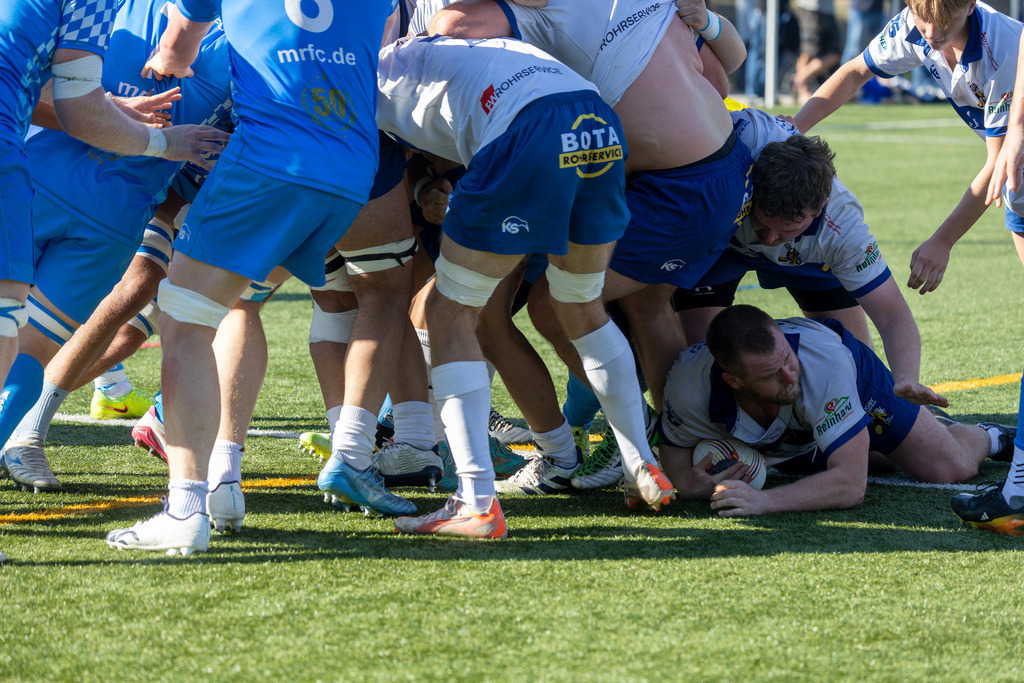 Rugby Bundesliga, Saison 2026/27, 4. Spieltag: TSV Handschuhsheim gegen München RFC | Rugby Bundesliga, Saison 2026/27, 4. Spieltag: TSV Handschuhsheim gegen München RFC / Versuch für Handschuhsheim - Realisiert mit Pictrs.com