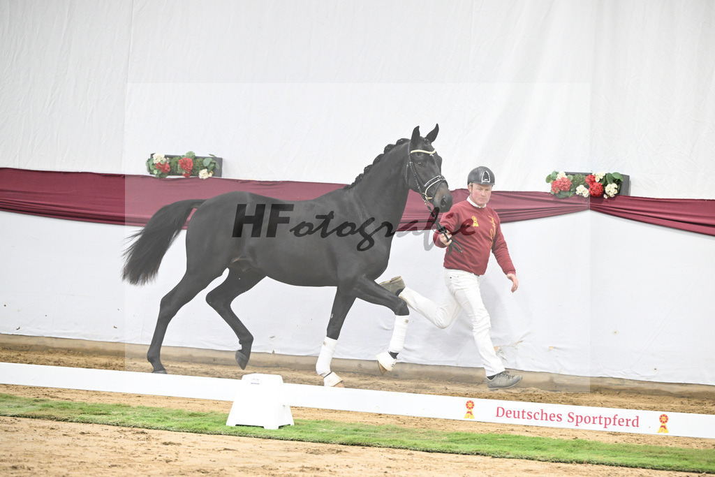 Kat-Nr. 23 Va Pensiero x De Niro_Christiane Schindele_47250697 | hf-fotografie - Realisiert mit Pictrs.com