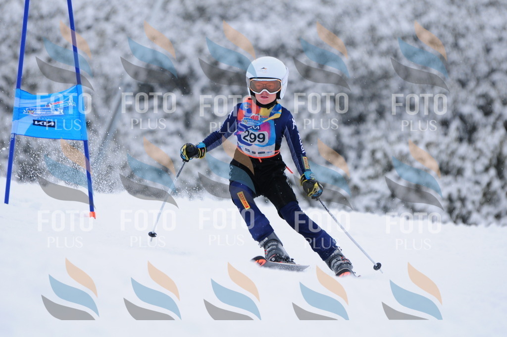 C3160 | holidayphoto