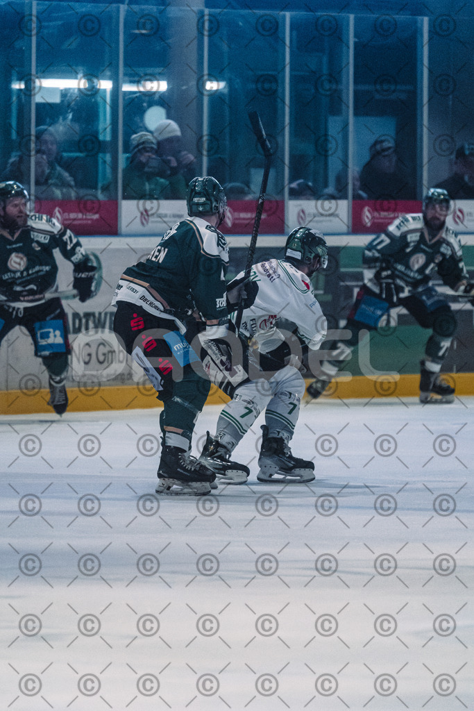 Erding_vs_Alligators_02_01_2026-67 | Höchstadt Alligators Fotogalerie: Eishockey-Action aus Franken. Professionelle Spielfotos, Portraits & Stadionbilder zum Download. Jetzt entdecken! - Realisiert mit Pictrs.com