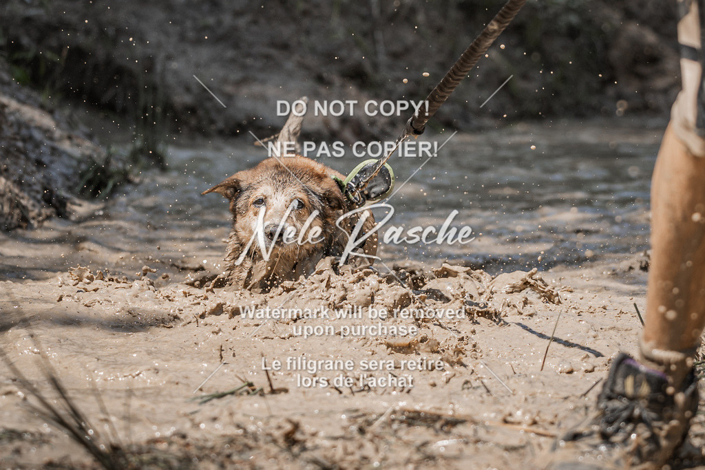 nelerasche_Hoope2026_Sa1400-1430_288 | nelerasche