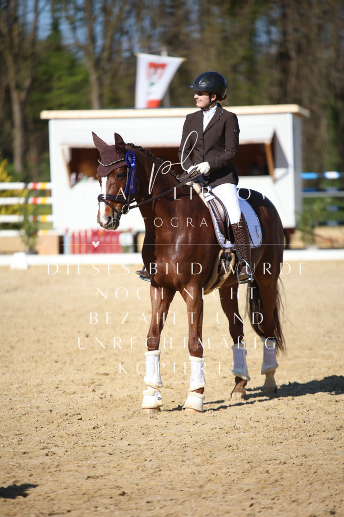 IMGT9145 | pl-fotografie