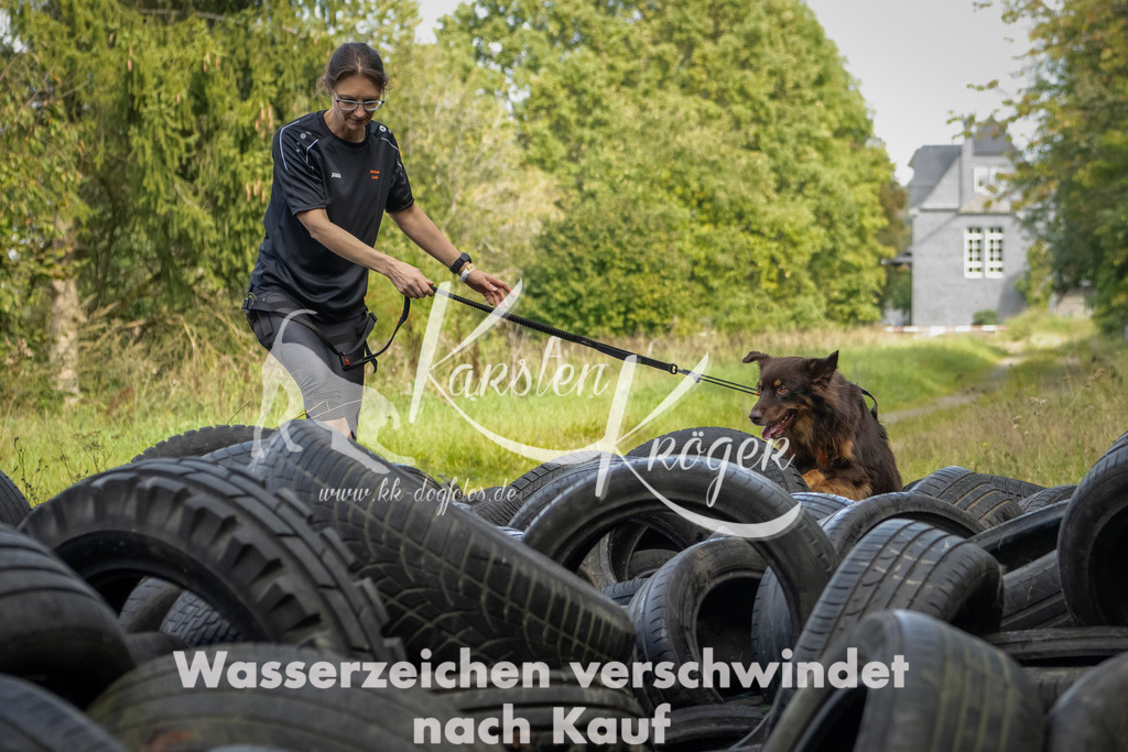 1505_ZZ91108-Bearbeitet | kk-dogfotos