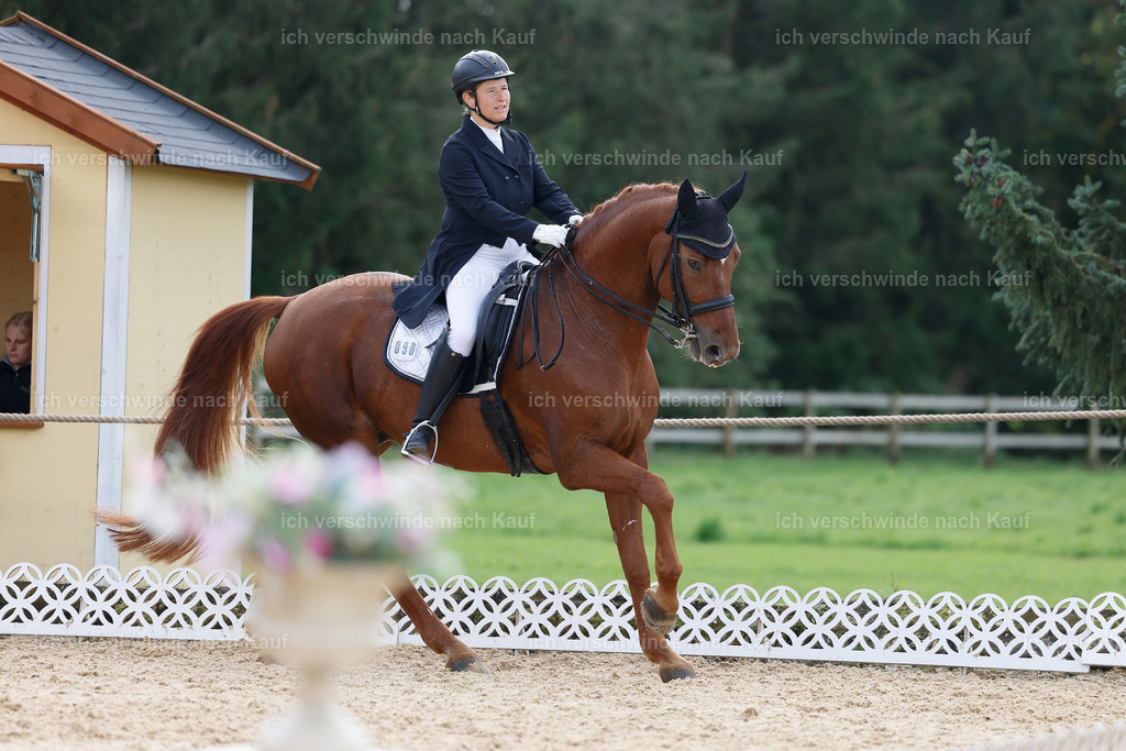 09_2-090-DRESSUR  S_  -StoibPH-5847 | working equitationturnier fotograf videograf stoibphotography marixx film working equitation deutschland reitsport turnierfotografie eventfotografie equestrian events