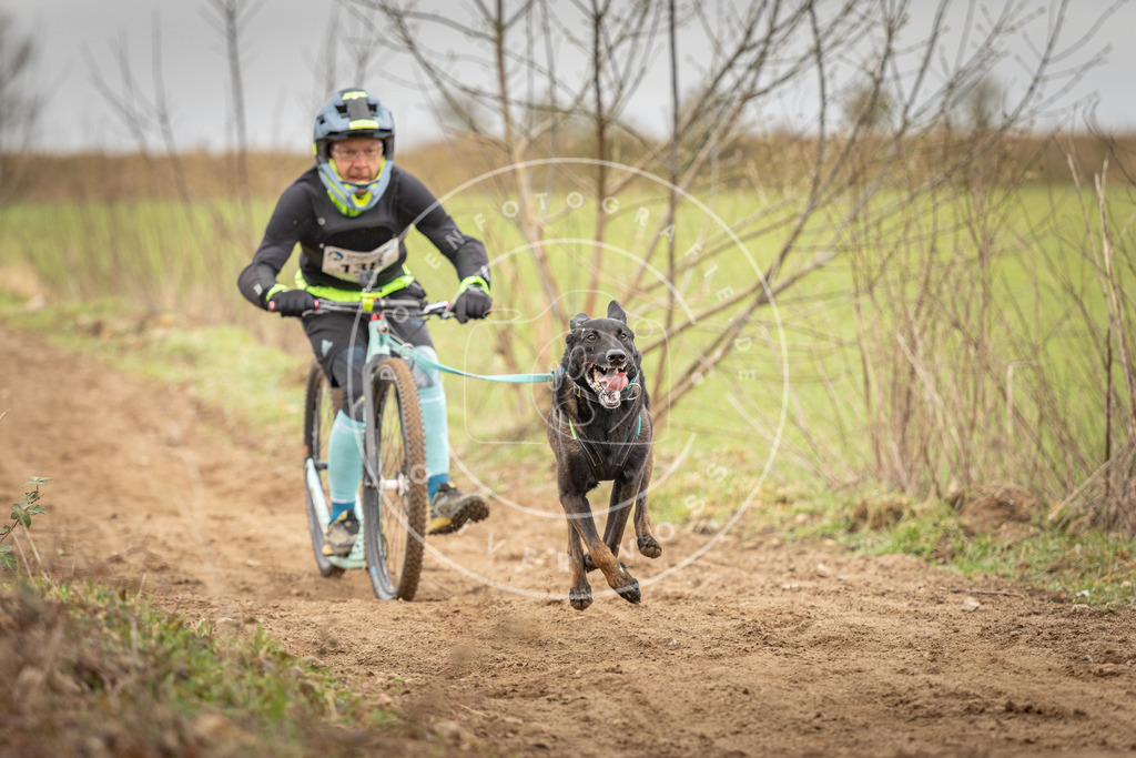 DV3A1352 | Hundefotografie, Tierfotograf, Pfotenfotografie, Fotoshooting Hund, Hunde Portrait, Hundesport, Hundeportraits, Heideshooting, Hunde, Sportfotograf, Hundefotograf, Turnierhundsport, THS,  - Realisiert mit Pictrs.com