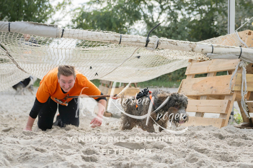 1309_ZZ95579 | kk-dogfotos