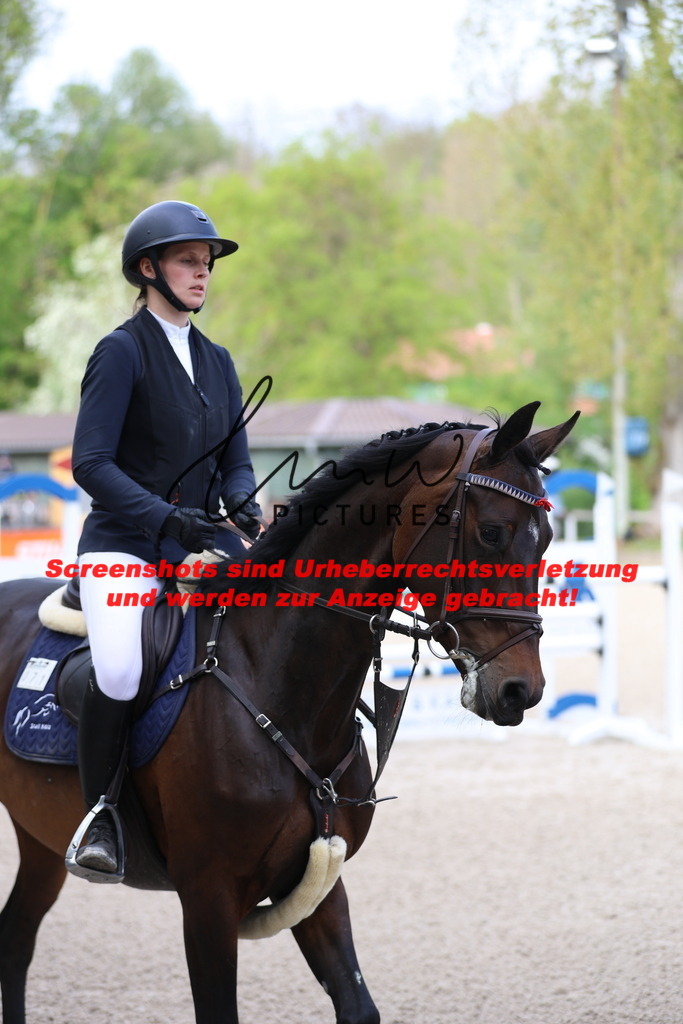 A40A2893 | lmwpictures - Realisiert mit Pictrs.com