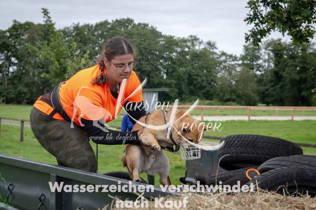 1228_ZZ90709 | kk-dogfotos