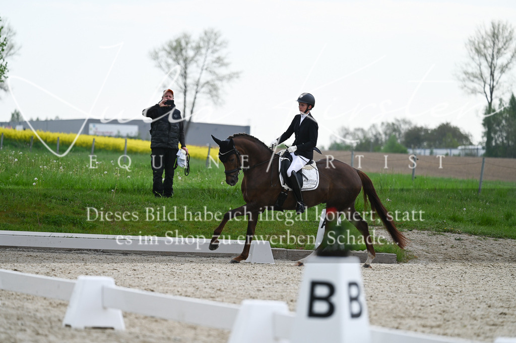 20230512_JK-Röhrsdorf-02-084 | Pferde- und Turnierfotografie in Westsachsen. Pferdeportraits, Auftragszeichnungen und intuitive Kunst.