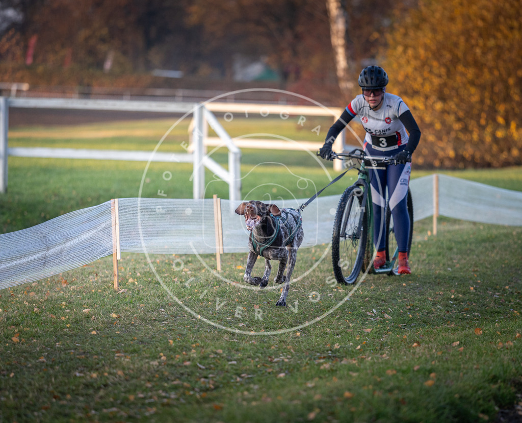 CaniXpix_DV3A9277 | Hundefotografie, Tierfotograf, Pfotenfotografie, Fotoshooting Hund, Hunde Portrait, Hundesport, Hundeportraits, Heideshooting, Hunde, Sportfotograf, Hundefotograf, Turnierhundsport, THS,  - Realisiert mit Pictrs.com
