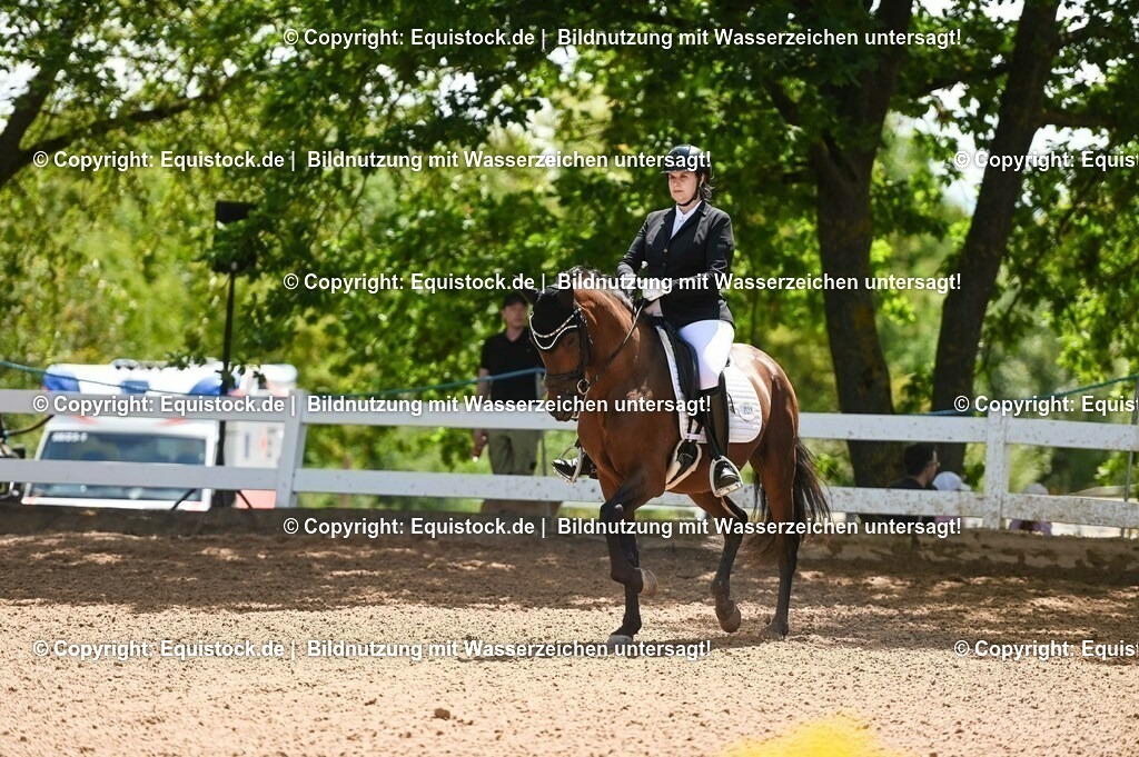 20230716_03_Dressurprfg. Kl.L - Tr._0100 | equistock