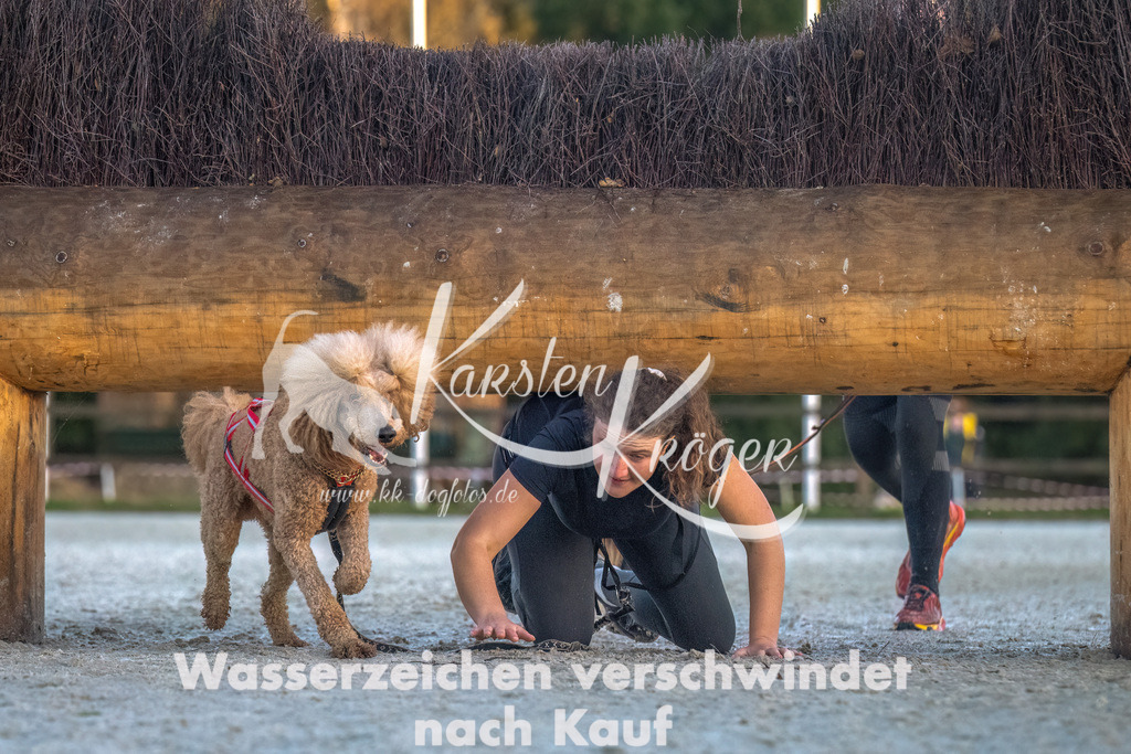 0824-00227 | kk-dogfotos