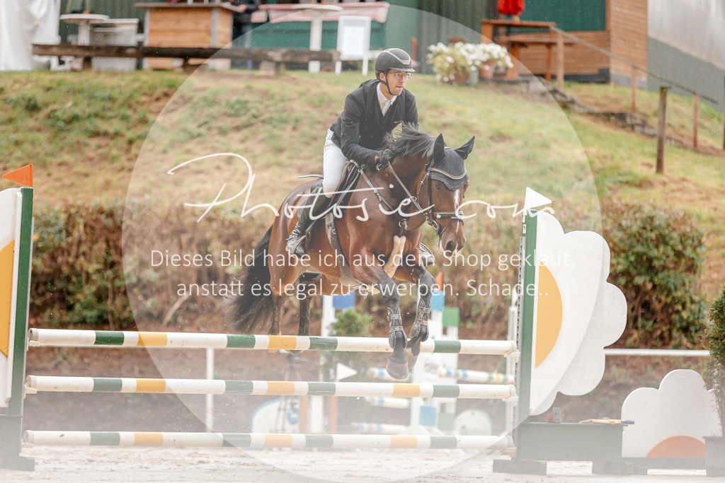 3I6A5697 | Stimmungsvolle Portraits und Reitsportfotografie im Ruhrgebiet und im Münsterland.

Pferdefotografie, Hundefotografie, Tierfotografie, Reportagen, Portraits von Tier und Mensch, Turnierfotografie in Bochum, Recklinghausen, Marl, Haltern am See, Dülmen.. - Realisiert mit Pictrs.com