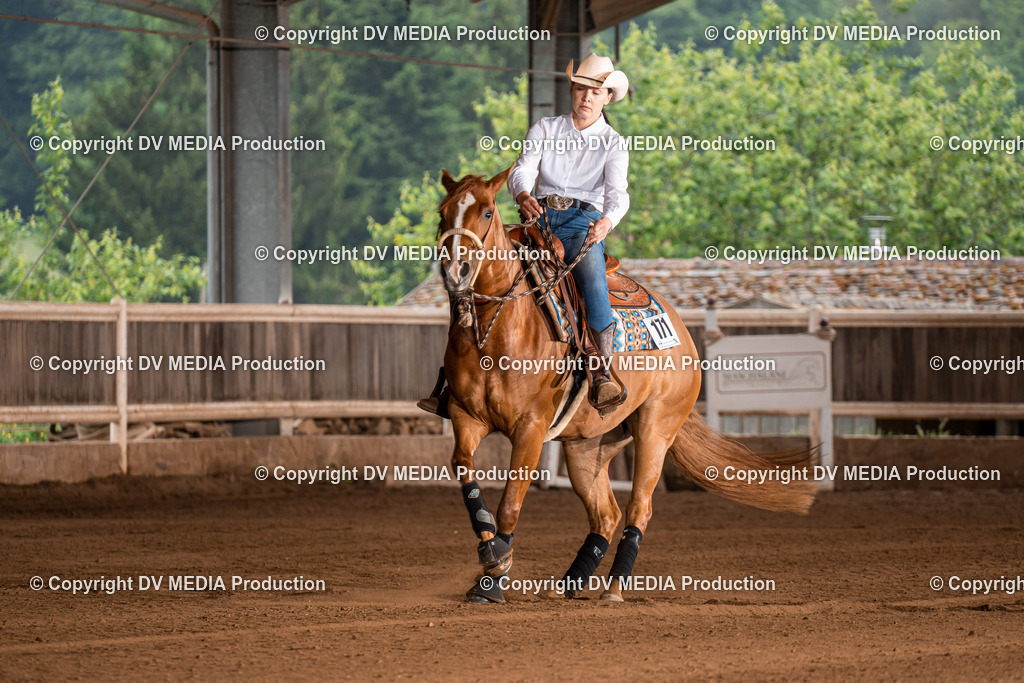 Erbach Tag 2-995 | dv-media-shop - Realisiert mit Pictrs.com