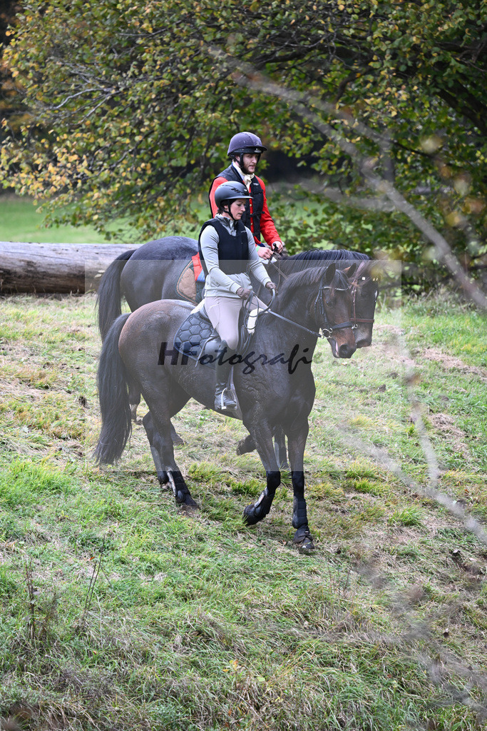 41240498 | hf-fotografie - Realisiert mit Pictrs.com