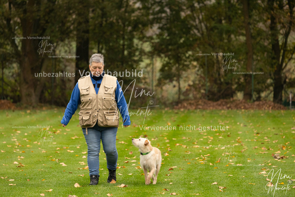 _16A0509 | Einzigartige Fotos von Hunden & Menschen –Actionfotos, Portraits, Vereinsaufnahmen & Paarshootings – authentisch, lebendig & mit Herz.