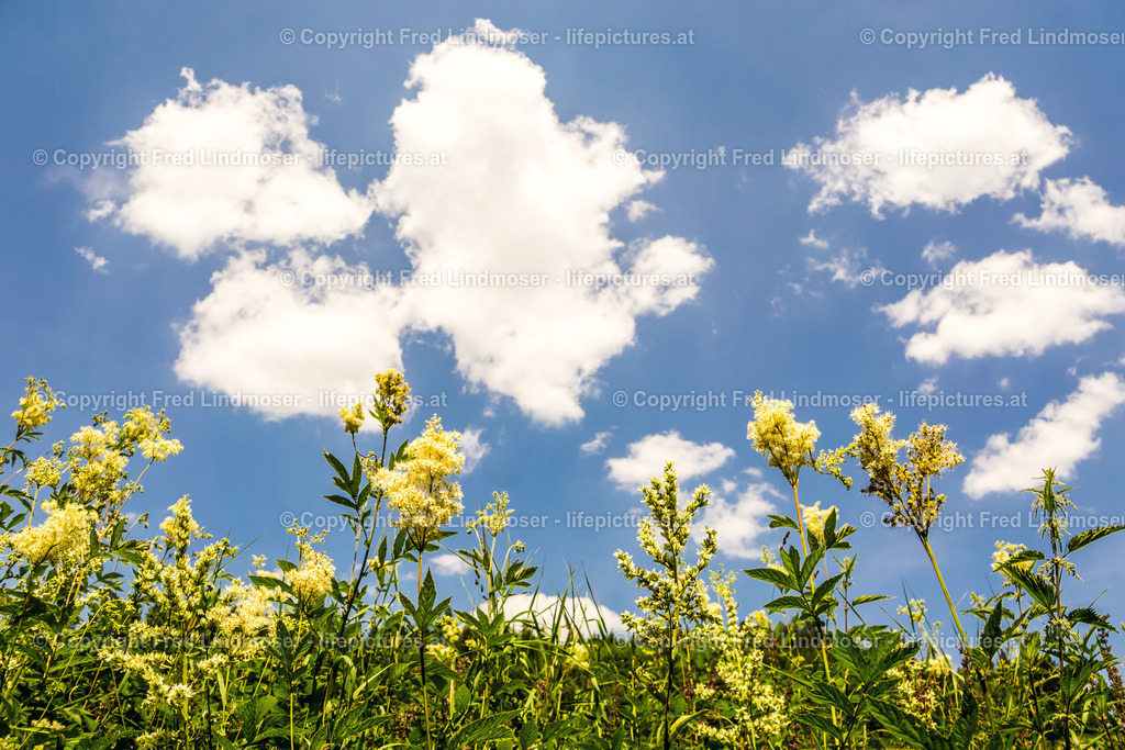 Salzaklamm Rundwanderung DSC00624  | Fotos und Fotoprodukte - Realisiert mit Pictrs.com