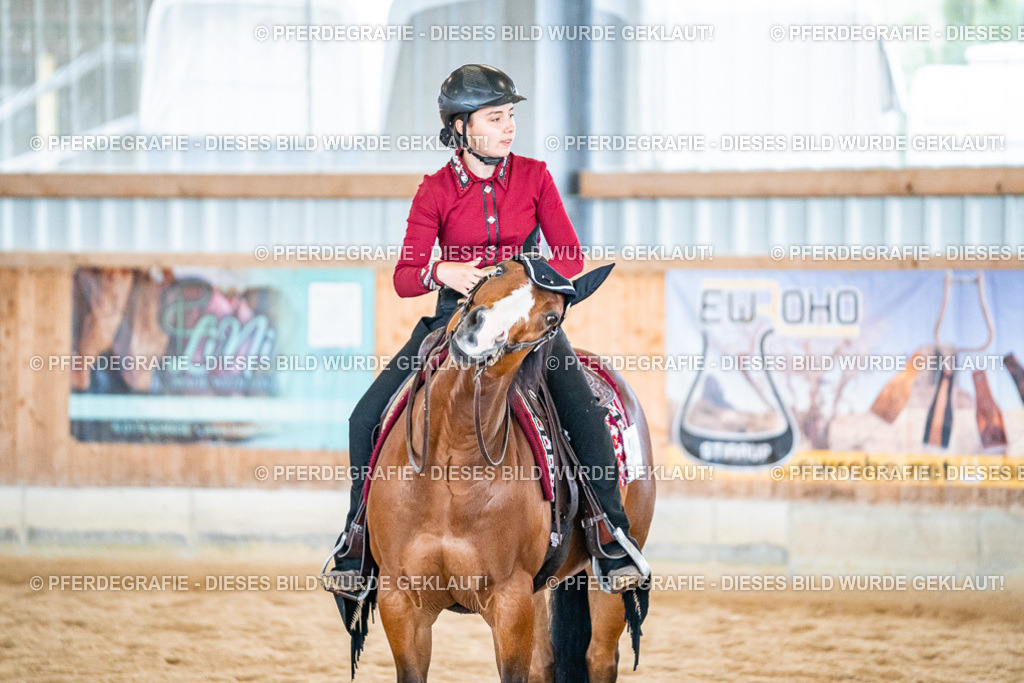 DSC02762 | Pferdegrafie