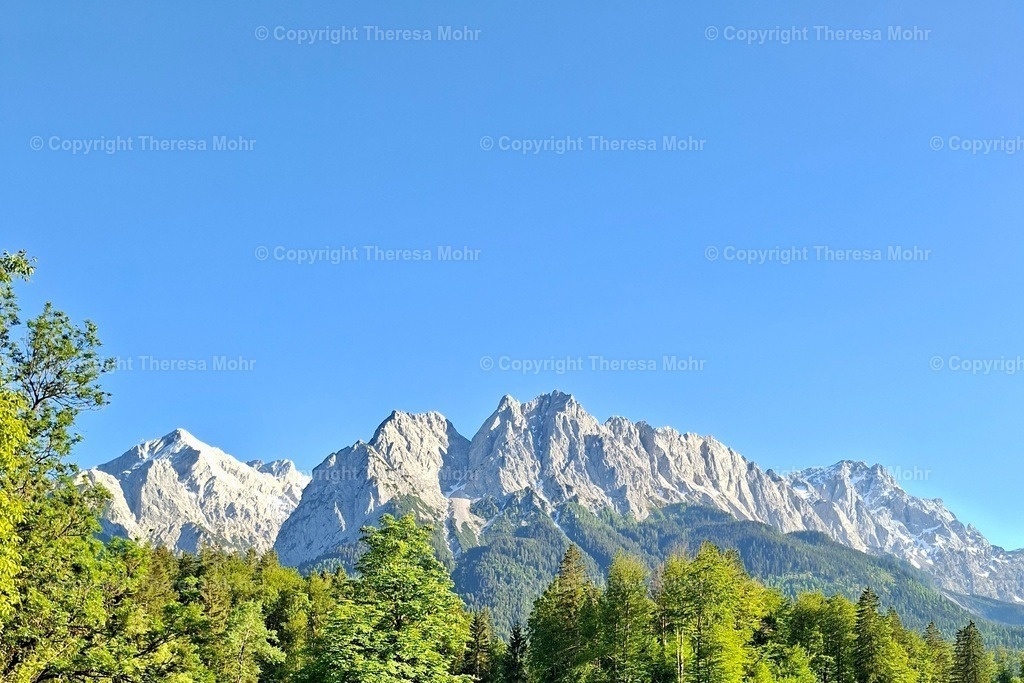20260529_184409 | Naturpuls - Realisiert mit Pictrs.com