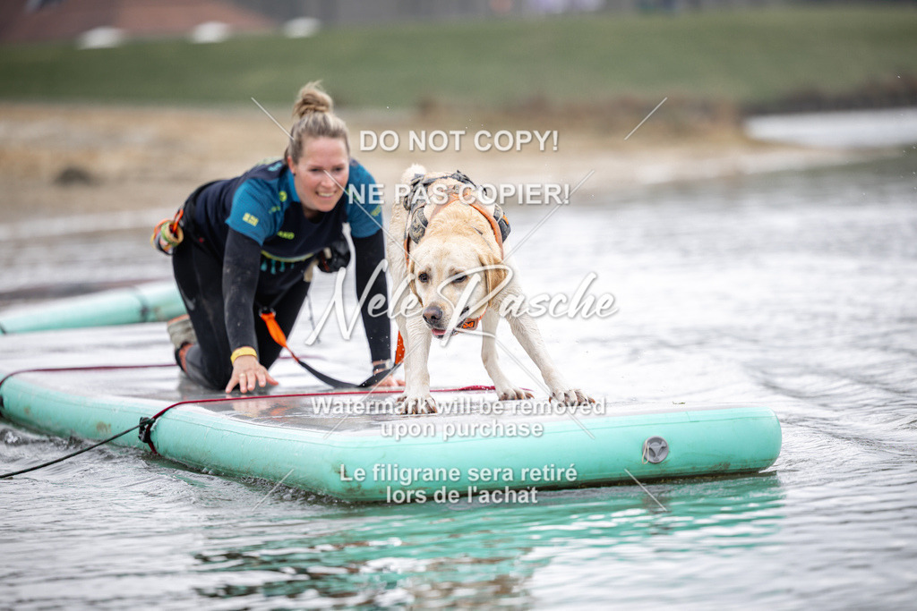 nelerasche_Hulsbeek_Sa1100-1130_463 | nelerasche