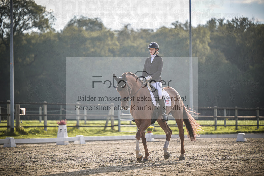 DOS_3400 | Entdecke hochwertige Reitturnierfotos von Foto Oger. Professionell, emotional und authentisch – jetzt Lieblingsmomente im Shop bestellen.Deutschlandweite Turnierfotografie. - Realisiert mit Pictrs.com