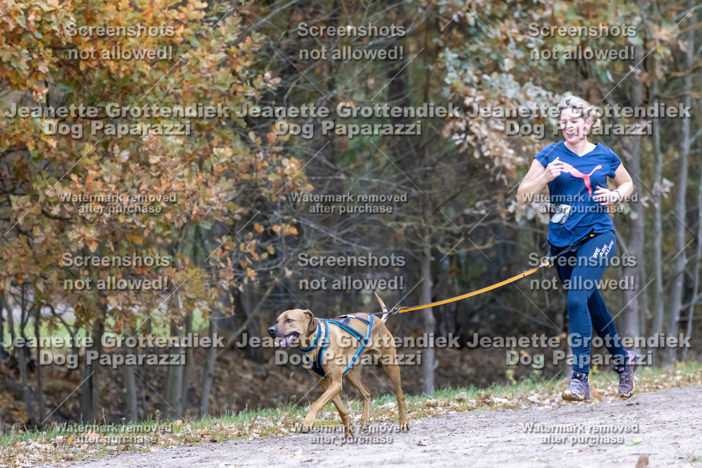 Dog Paparazzi - SD CaniX Championship 2025-664 | Dog Paparazzi Jeanette Grottendiek Fotografie & Videografie - Realisiert mit Pictrs.com