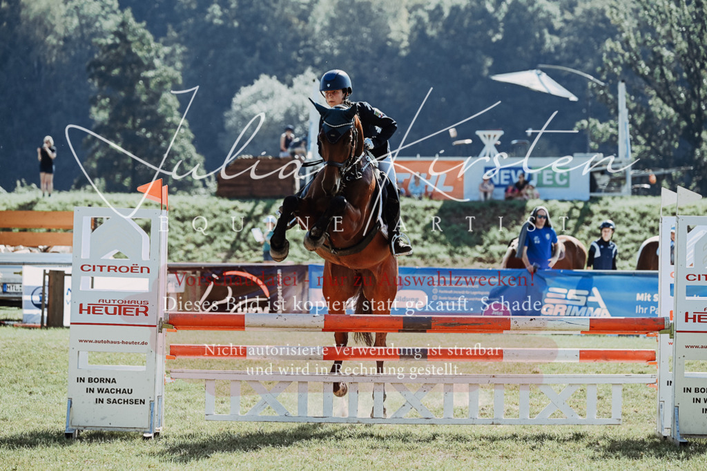 DSC_5546 | Pferde- und Turnierfotografie in Westsachsen. Pferdeportraits, Auftragszeichnungen und intuitive Kunst.