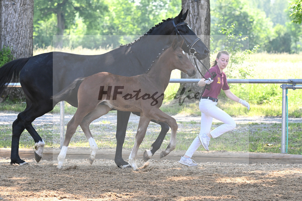 Kat-Nr. 4 HF Vitalos_Schwarz_14230117 | hf-fotografie - Realisiert mit Pictrs.com