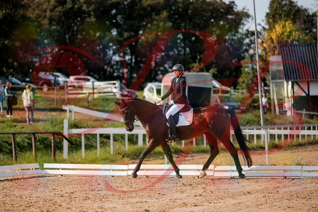 2026_10_03_Siefer-Hof_122706_Z63_48007056 | Professionelle Reitsport-, Turnier- und Eventfotografie von Robert Broda. Galerien mit ausgewählten und bearbeiteten Bildern direkt online ansehen und bestellen.