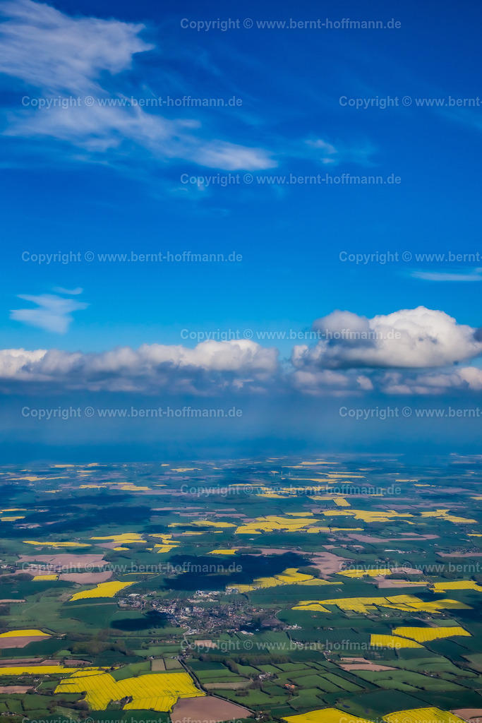 PLB_4711z_Raps_Angeln-Land_60x90 | Die Region Nordangeln. Gelb blühende Rapsfelder unter blau-weißem Himmel mit dicken Plusterwolken ( Cumulus ) und in der Höhe feinen Federwolken ( Cirrus ). Blick nach Osten. - Realisiert mit Pictrs.com