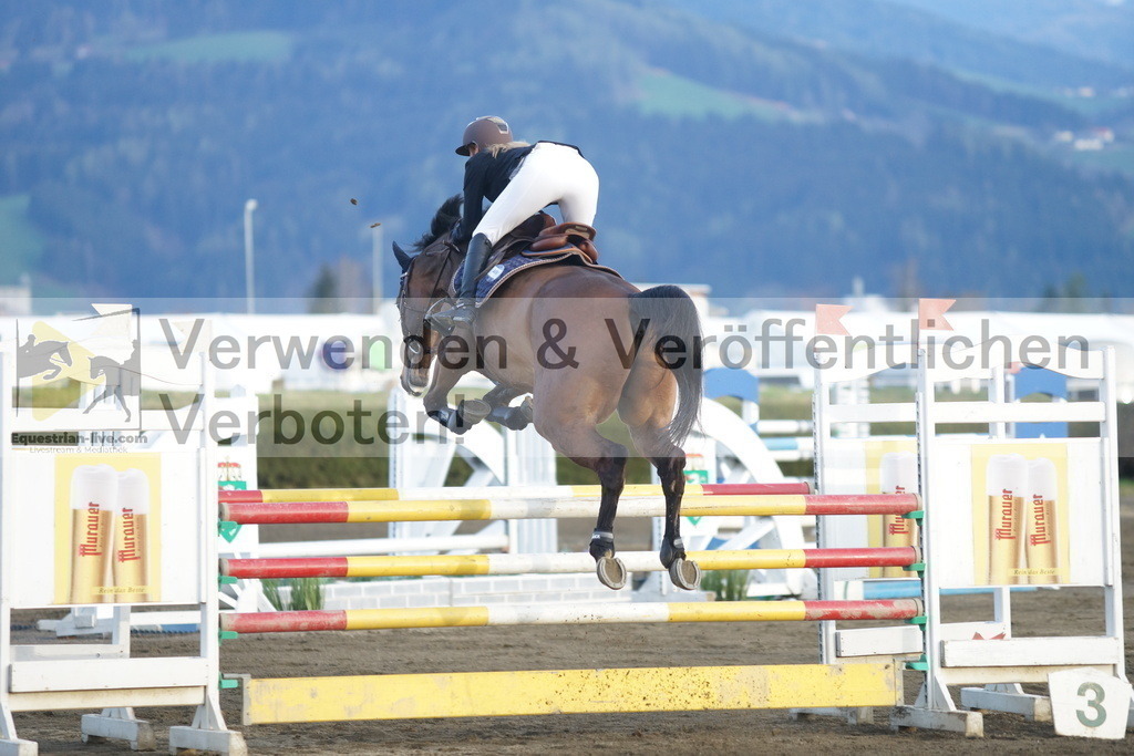 DSC03700 | equestrian-live-com