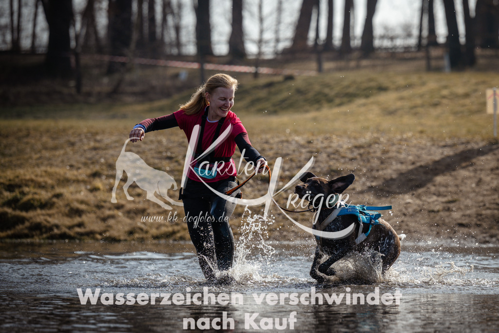 1101_ZZ91381 | kk-dogfotos