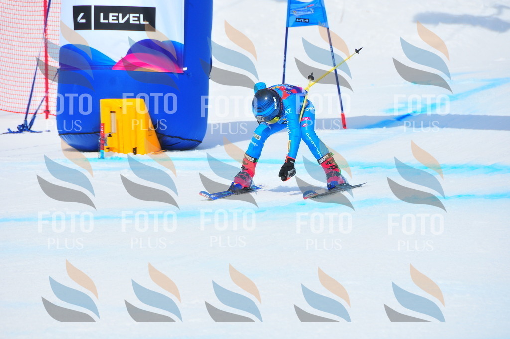 DSC_6265 | holidayphoto