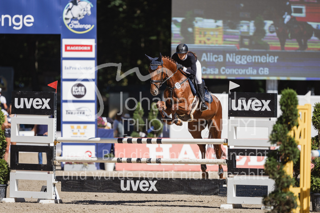 230907_OWLCh_SpringpferdeM-152 | Deine schönsten Turniermomente als professionelle Fotos! Entdecke hochwertige Pferdesport-Fotografie im Online-Shop. Jetzt Fotos finden & bestellen!