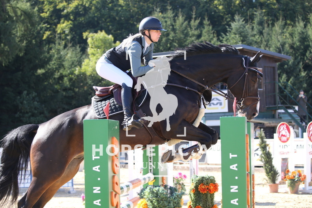 DL2Q2812 | Willkommen bei Brunnmayr - Design & Fotografie – Ihrem Spezialisten für Reitturniere und Pferdeveranstaltungen in Oberösterreich, Salzburg und Bayern! Seit über 17 Jahren sind wir leidenschaftlich dabei.