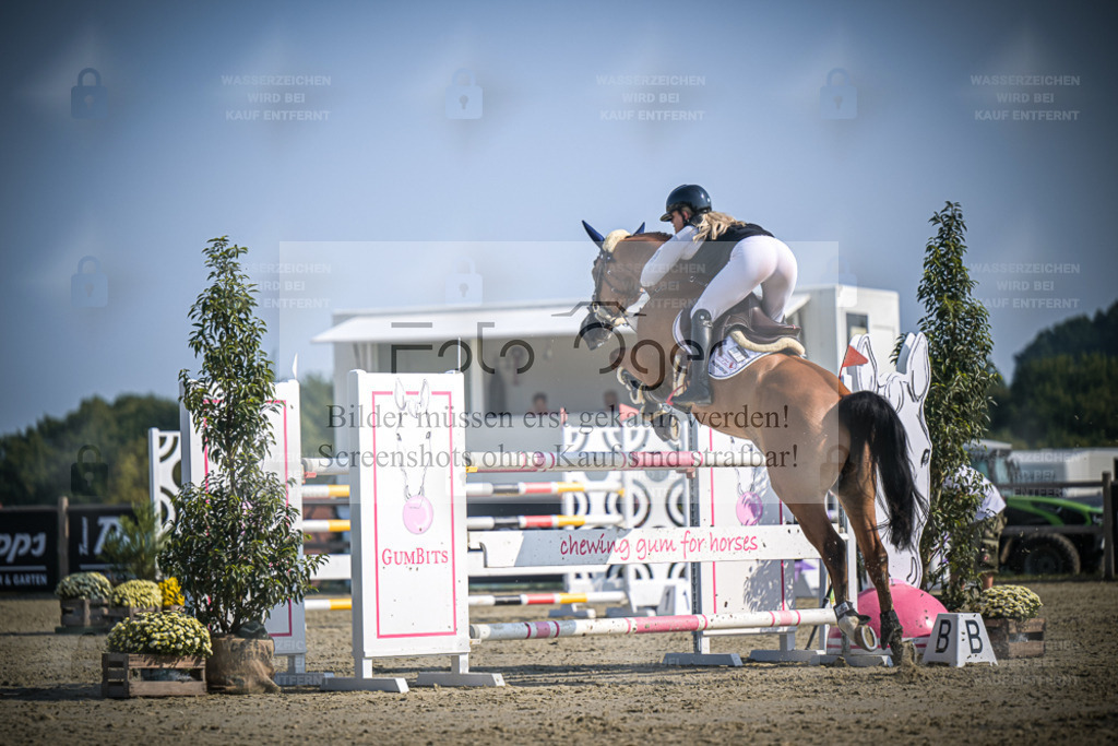DOS_1285 | Entdecke hochwertige Reitturnierfotos von Foto Oger. Professionell, emotional und authentisch – jetzt Lieblingsmomente im Shop bestellen. - Realisiert mit Pictrs.com