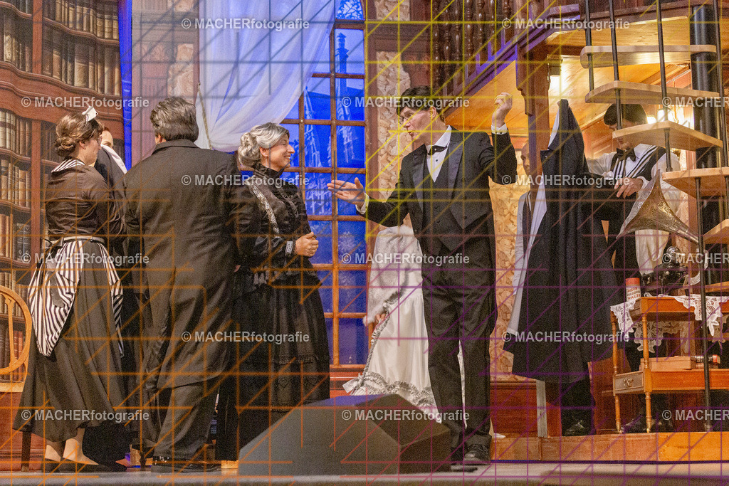 308_MFL-2025 | Portraitbilder von Regisseur; Darsteller; Techniker; Maske; Kostüme; Chor; Musiker; Bilderserie der Generalprobe und der Premierenvorstellung, Szenenbilder; Ausdrucksstudien; Bühnenüberblick; Bühnenkulissen; Pressefotos inkl. Redaktionsfoto Darstellergruppe.