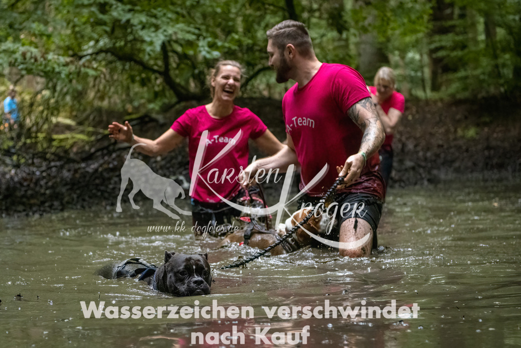 1143_ZZ91090-Bearbeitet-2 | kk-dogfotos