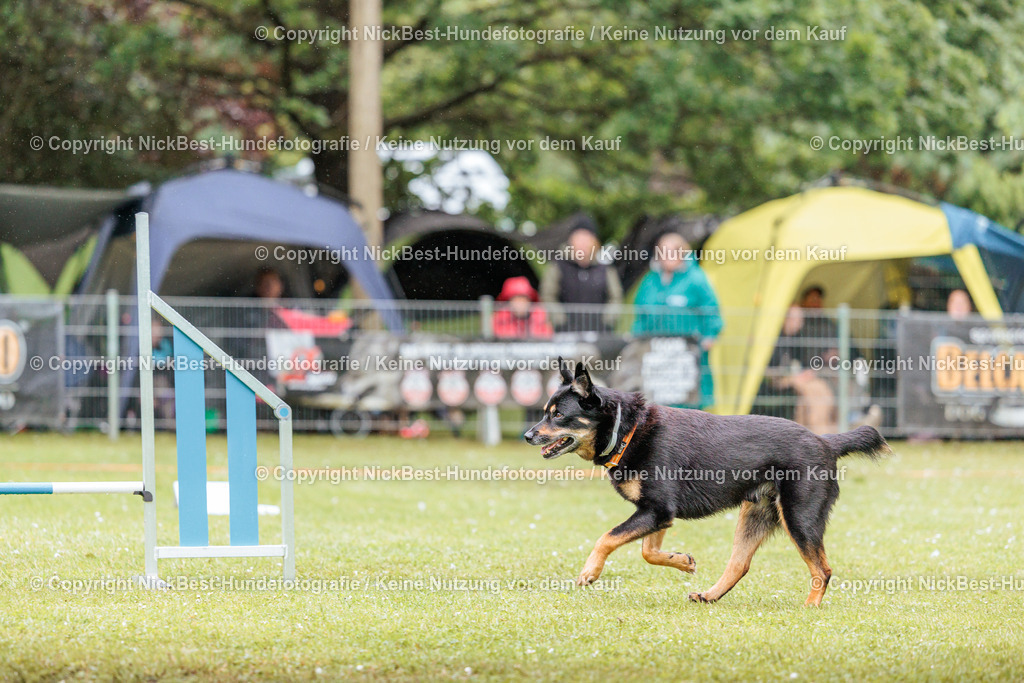 RO-Blumenthal-2026-Nickbest-Hundefotografie-4010 | Dein Hund! Dein Moment! Deine Erinnerungen! Hundefotografie in Bremen Blumenthal. Ich fange die besonderen Momente deines Vierbeiners ein – ob Indoor mit Blitzanlage oder in der freien Natur. Sicher dir dein Moment und dein Termin für eure Erinnerungen.
