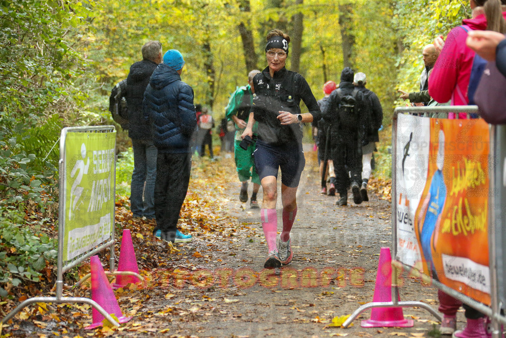 251026_1311_EX1_2782 | Sportfotografie im Rhein-Sieg Kreis, Köln, Bonn, NRW, Rheinland Pfalz, Hessen, etc. Unser Tätigkeitsfeld umfasst den Laufsport vom Volkslauf über den Marathon, Duathlon, Triathon bis zum Ultralauf wie Kölnpfad Ultra oder Schindertrail.