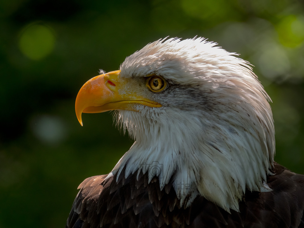 P1000216-Bearbeitet-2017-LR | Natur im Moment - Realisiert mit Pictrs.com
