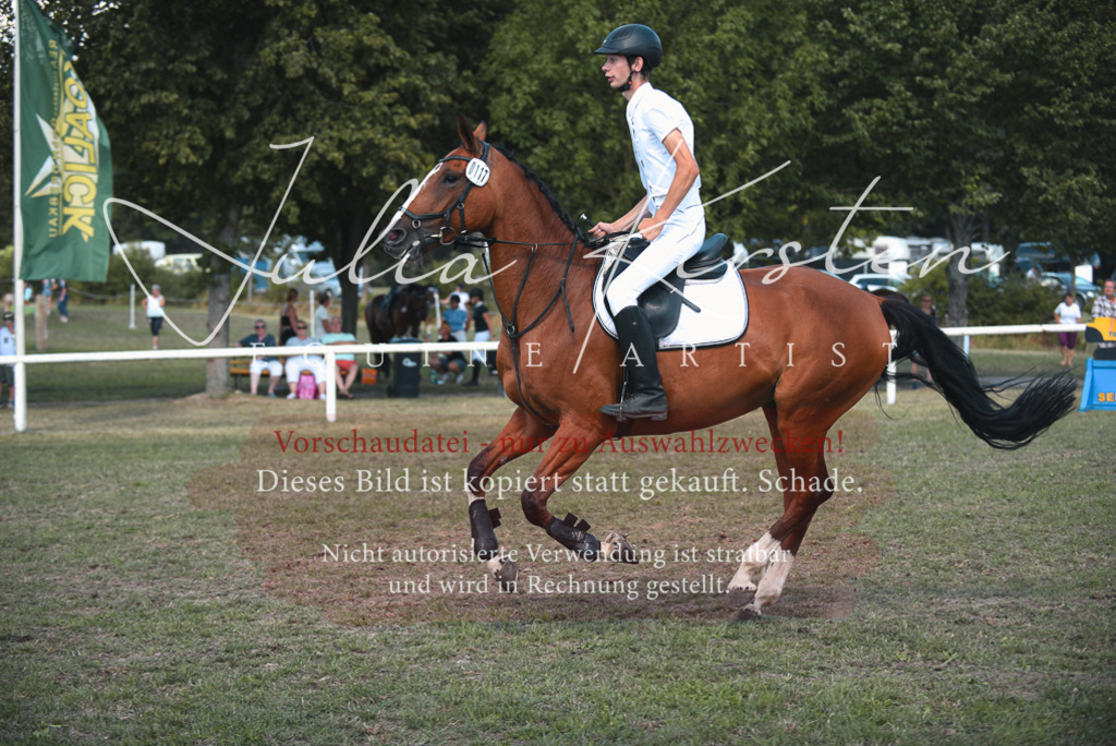 DSC_6902 | Pferde- und Turnierfotografie in Westsachsen. Pferdeportraits, Auftragszeichnungen und intuitive Kunst.