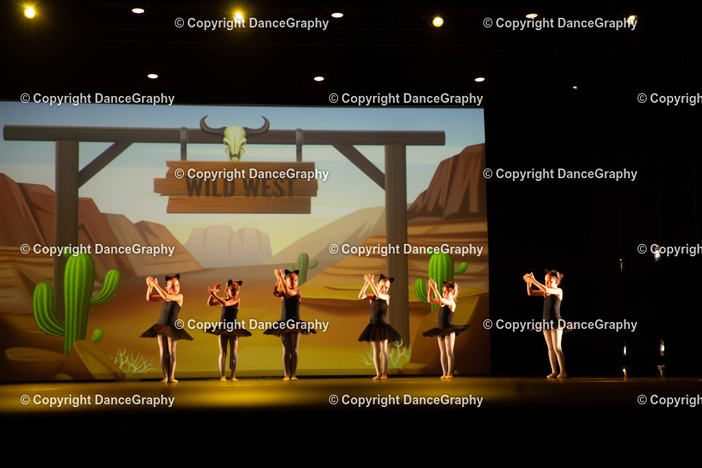 GPHY4245 | DanceGraphy - Realisiert mit Pictrs.com