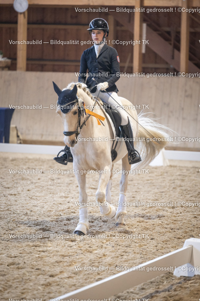 _D5A4834 | Emotionale Pferde- & People-Fotografie rund um Heidelberg, Leimen & Umgebung. Natürliche Fotos von Pferd, Mensch & Familie. Jetzt Termin sichern!