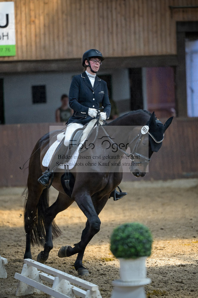 Reitturnier Voxtrup | Entdecke hochwertige Reitturnierfotos von Foto Oger. Professionell, emotional und authentisch – jetzt Lieblingsmomente im Shop bestellen.Deutschlandweite Turnierfotografie. - Realisiert mit Pictrs.com