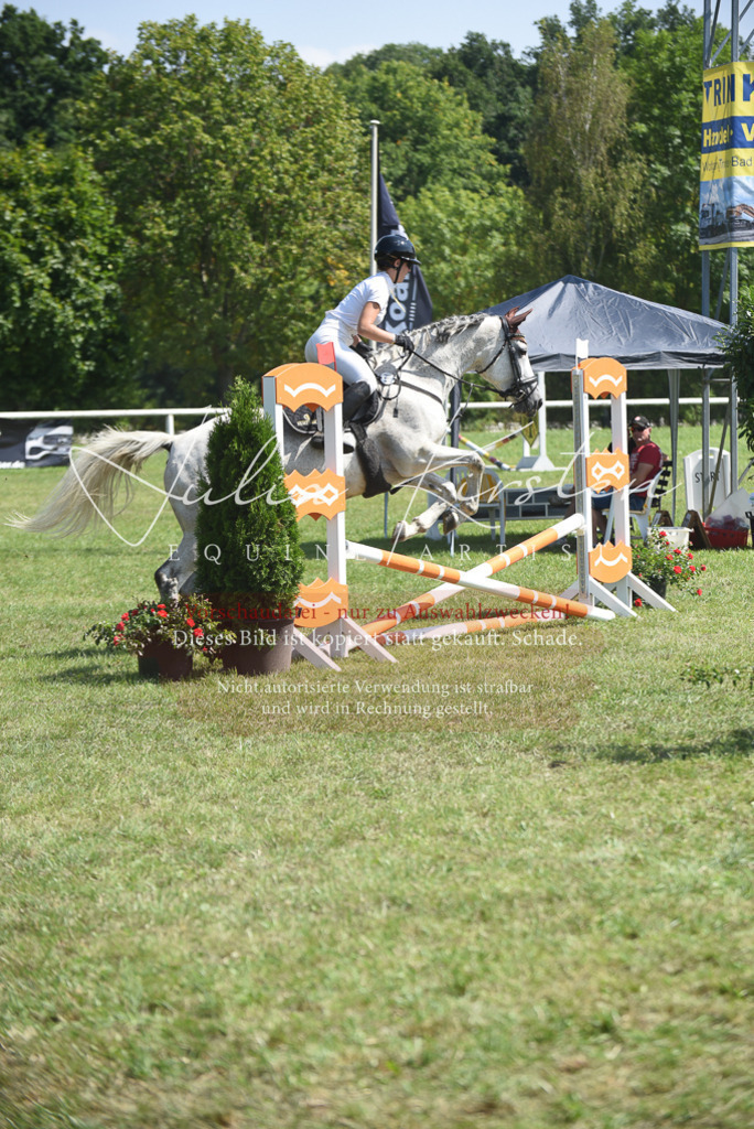 DSC_0179 | Pferde- und Turnierfotografie in Westsachsen. Pferdeportraits, Auftragszeichnungen und intuitive Kunst.